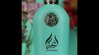 Miniature de la vidéo