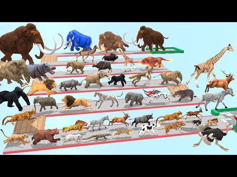 The Ultimate Battle 44 Wild Animals vs Prehistoric Mammals Speed Race Run Zigzag Down Course!