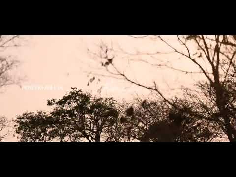 Soy Feliz - Poncho Zuleta