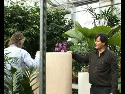 egarden: hydroculture