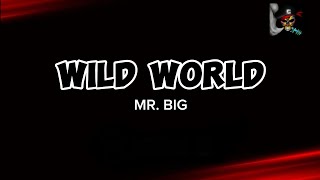 Download lagu WILD WORLD - MR BIG (HD KARAOKE) mp3