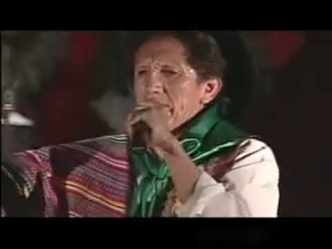 FALSIA 🎼 MULIZA 🎶  EUSEBIO CHATO✨CONCIERTO EN VIVO