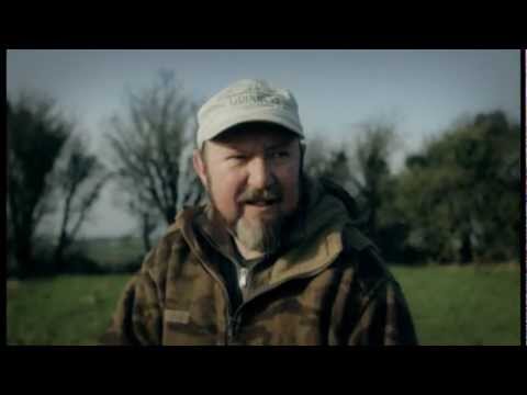 Harry (Archer & Bowyer) Ireland