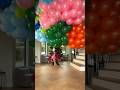 How Many Balloons Does It Take To Make A Puppy Fly