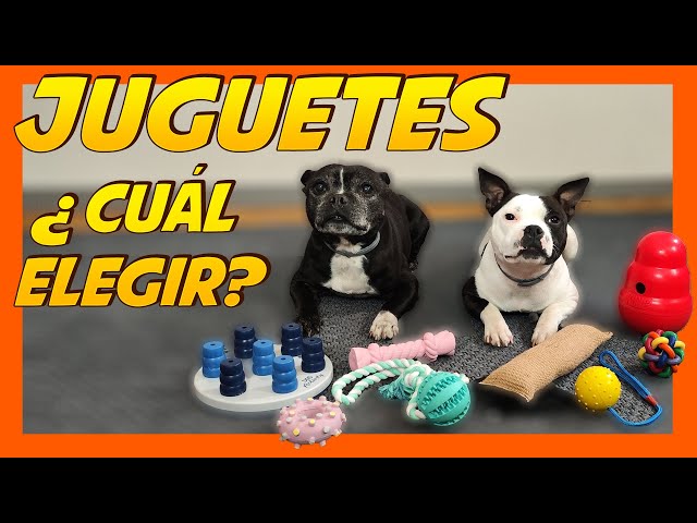 Vídeo relacionado con Ousiya Juego de 24 juguetes para cachorros, juguete masticable para cachorros con caja de almacenamiento, juguete masticable para perros y juguete chirriante para perros los perros pequeños y medianos
