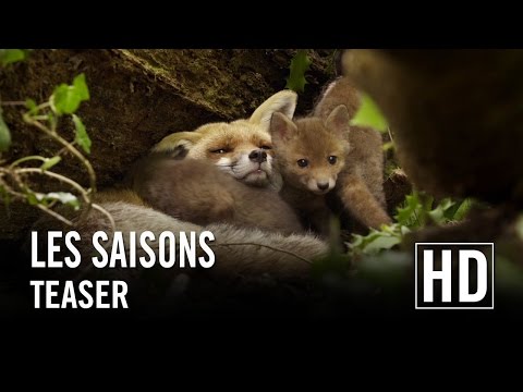 Seasons (2016) Teaser