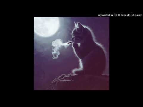 204ATUM - DYSTRYBUCJA 204