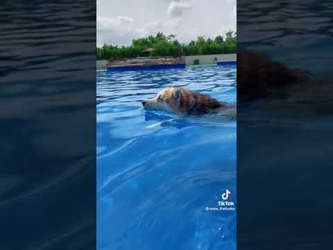 sangiovanni, Aitana - mariposas