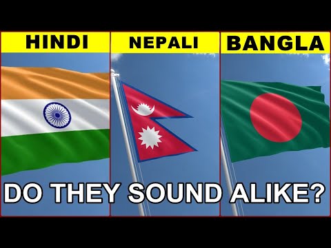 Bangla (বাংলা) vs Hindi (हिन्दी) vs Nepali (नेपाली): Do they sound similar? | Verbale Mondo