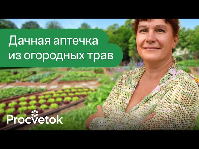 ОТ ДАВЛЕНИЯ, УКУСОВ И ПОРЕЗОВ! Готовим универсальную целебную настойку для первой помощи на даче
