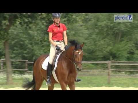 Just Paul - the first year of training | Ingrid Klimke