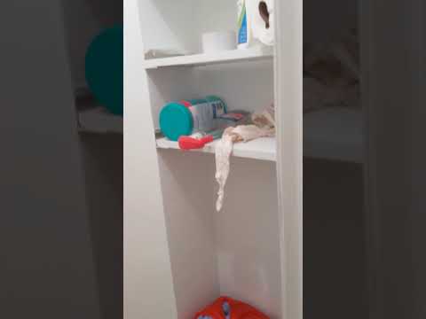 video 1