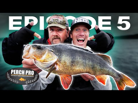 PERCH PRO 8 - Episode 5 (Deutsche untertitel)