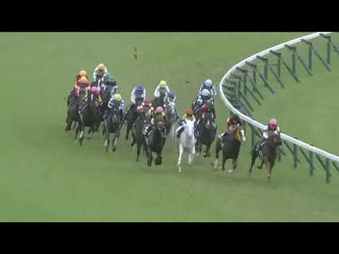 2023.06.04 Yasuda Kinen (JPN) - Songline