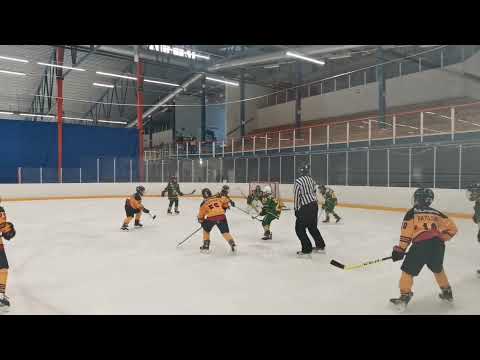 ilves Colorado - KOOVEE Yellow kooste 16.1.22