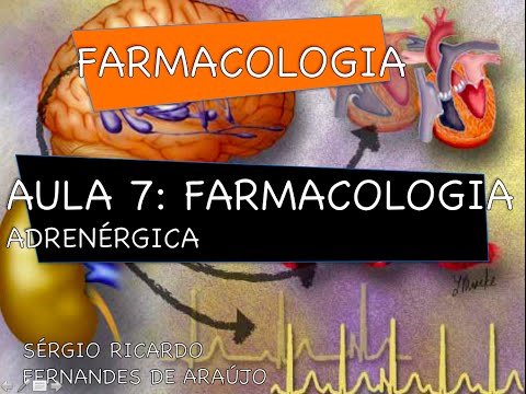 Curso de Farmacologia: Aula 7 - Farmacologia adrenergica - Agonistas e antagonistas indiretos