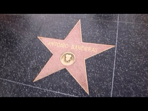 Hollywood Walk of Fame Голливудская алле