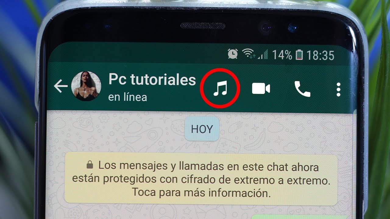TRUCOS PARA WHATSAPP impresionantes que debes conocer YA 2018