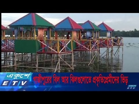 গাজীপুরের বিল আর ঝিলগুলোতে প্রকৃতিপ্রেমীদের ভিড়