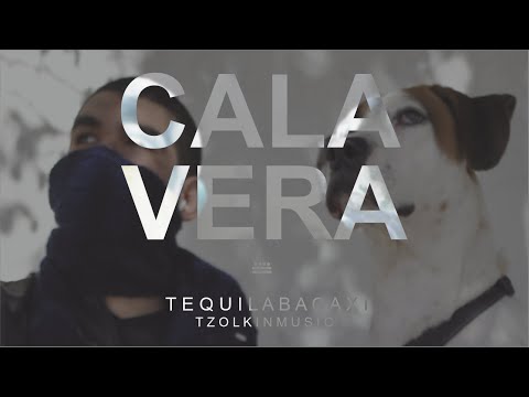 TEQUILABACAXI 🍍 - CALAVERA