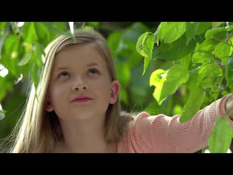 4K Ultra HD   SAMSUNG UHD Demo  Nature in 4K 2160p 30fps H264 128kbit AAC