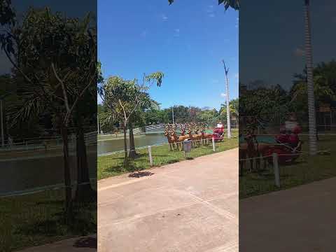 lago cabeceiras de goias