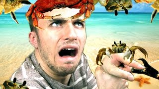 DES CRABES, DES CRABES PARTOUT Stranded Deep 