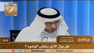 [2841] هل بول الإبل ينقض الوضوء ؟ - صالح الفوزان