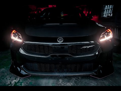 Eibach Springs Kia Stinger AWD install