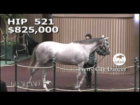 PRETTY CITY DANCER as a Keeneland September Yearling