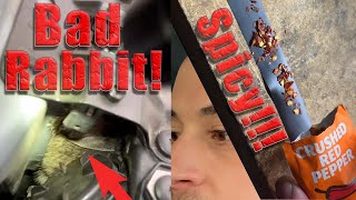 How To Repair Car wire Harness After Rodent chew | Prevent it from Happening Again