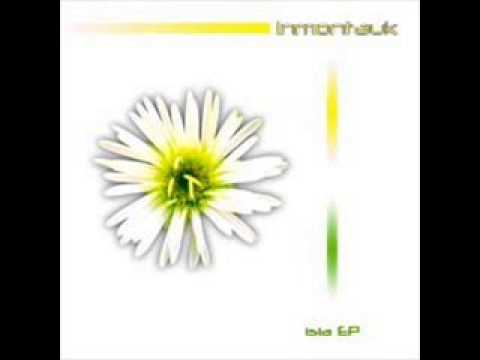 Inmontauk - La Transición [Danieto Remix]