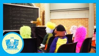 Adventures With Artie: Obedience