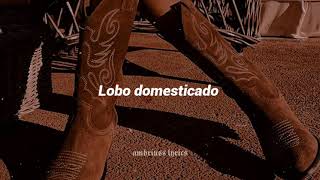 Lobo domesticado// Valentín Elizalde (letra)