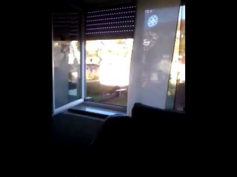 mergim und jetmir haben überlebt