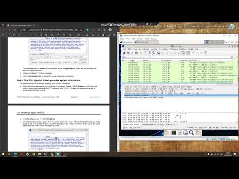 Lab Attacking a mysql Database
