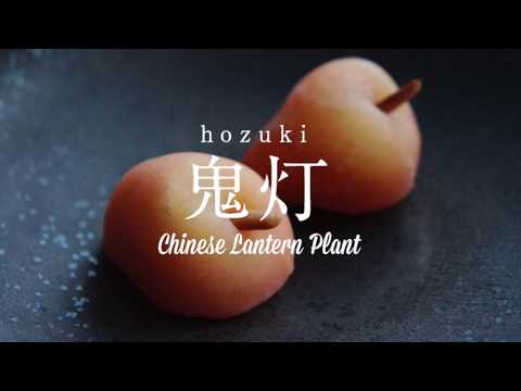 How to make wagashi_Hozuki (Chinese lantern plant )
