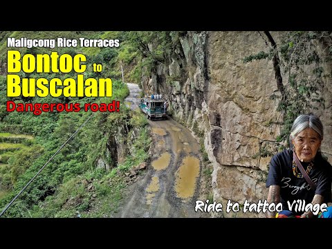 Bontoc to Buscalan | Maligcong Rice Terraces | Mountain Province to Kalinga road