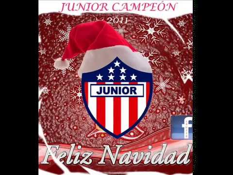 MOSAICO TIBURON II   F R B S