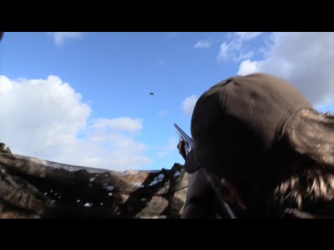 The Shooting Show – crow and pigeon control and Beretta A300 Xtrema