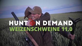 Weizenschweine 11.0 🐗 von @hunterbrothersofficial