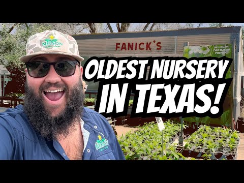 The Oldest Family Owned Nursery in Texas! | Fanick's Garden Center, San Antonio, TX