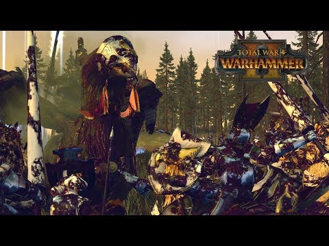 GRYPH FIGHT: DEMI vs HIPPO - Empire vs Bretonnia // Total War: Warhammer II Online Battle