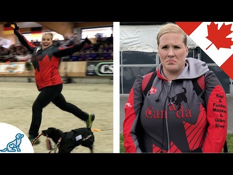 The Highs And Lows Of World Championship Dog Agility