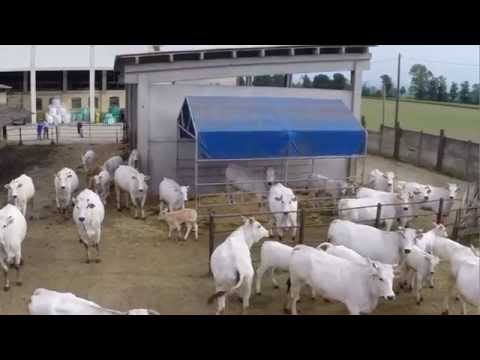 La Pratolina e Agriturismo ai Due Taxodi