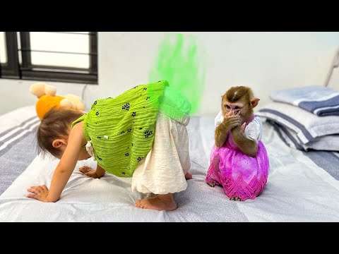 Monkey Kaka handled smartly when baby Diem needed a diaper change