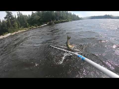 Air Ivanhoe - Fishing Trip 2020 - YouTube