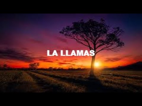 *FREE* Natti Natasha Type Beat 2021- "La llamas" (Prod By JBThePhilosophy)