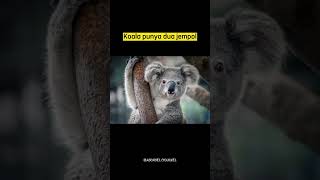 Download lagu Fakta unik Hewan Part 3😱🐷 #shorts mp3