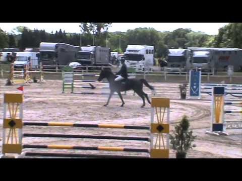 .           Hunters Scenletha 5YH WVUR Aalter